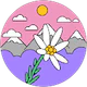 Bedriye Akar profil fotoğrafı