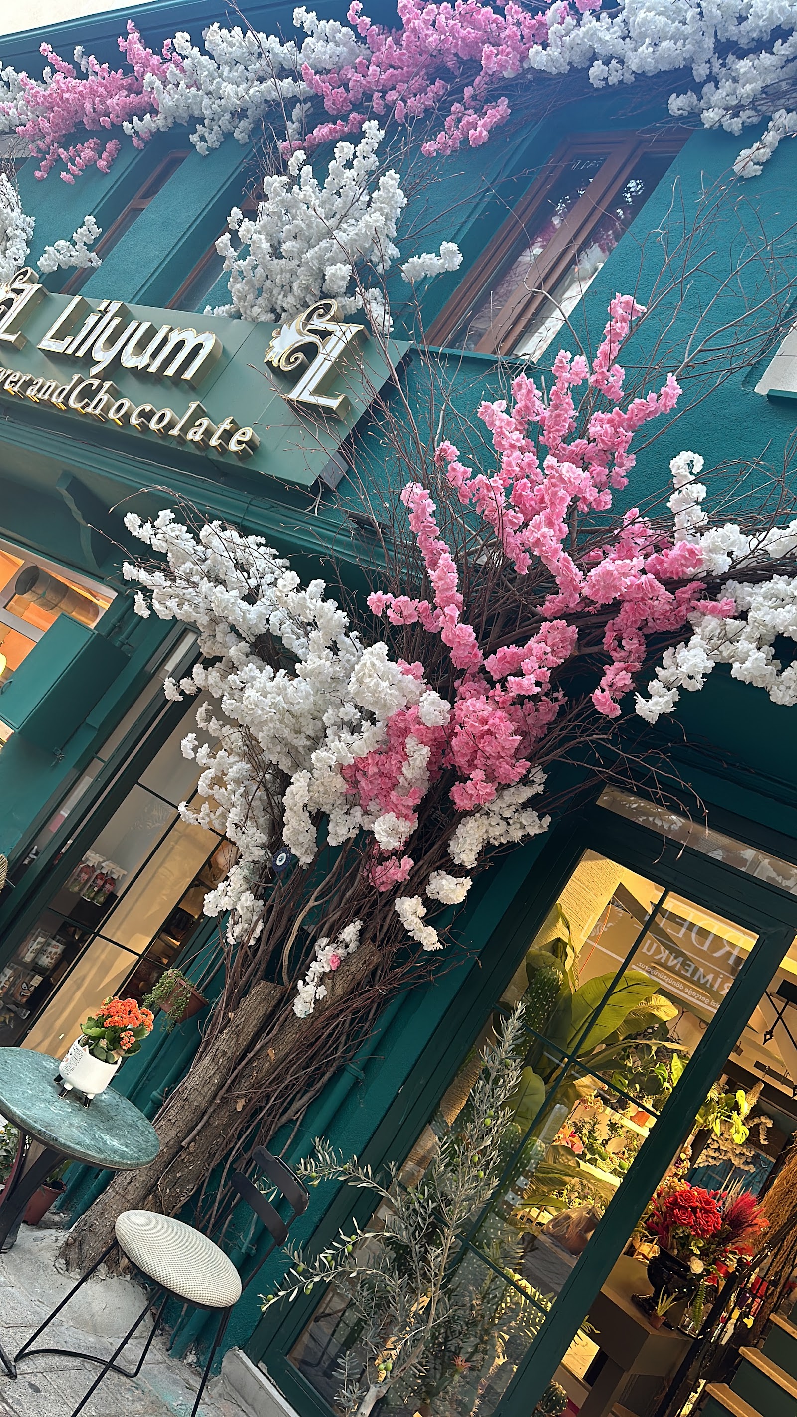 Lilyum Flower and Chocolate - Tekirdağ Süleymanpaşa