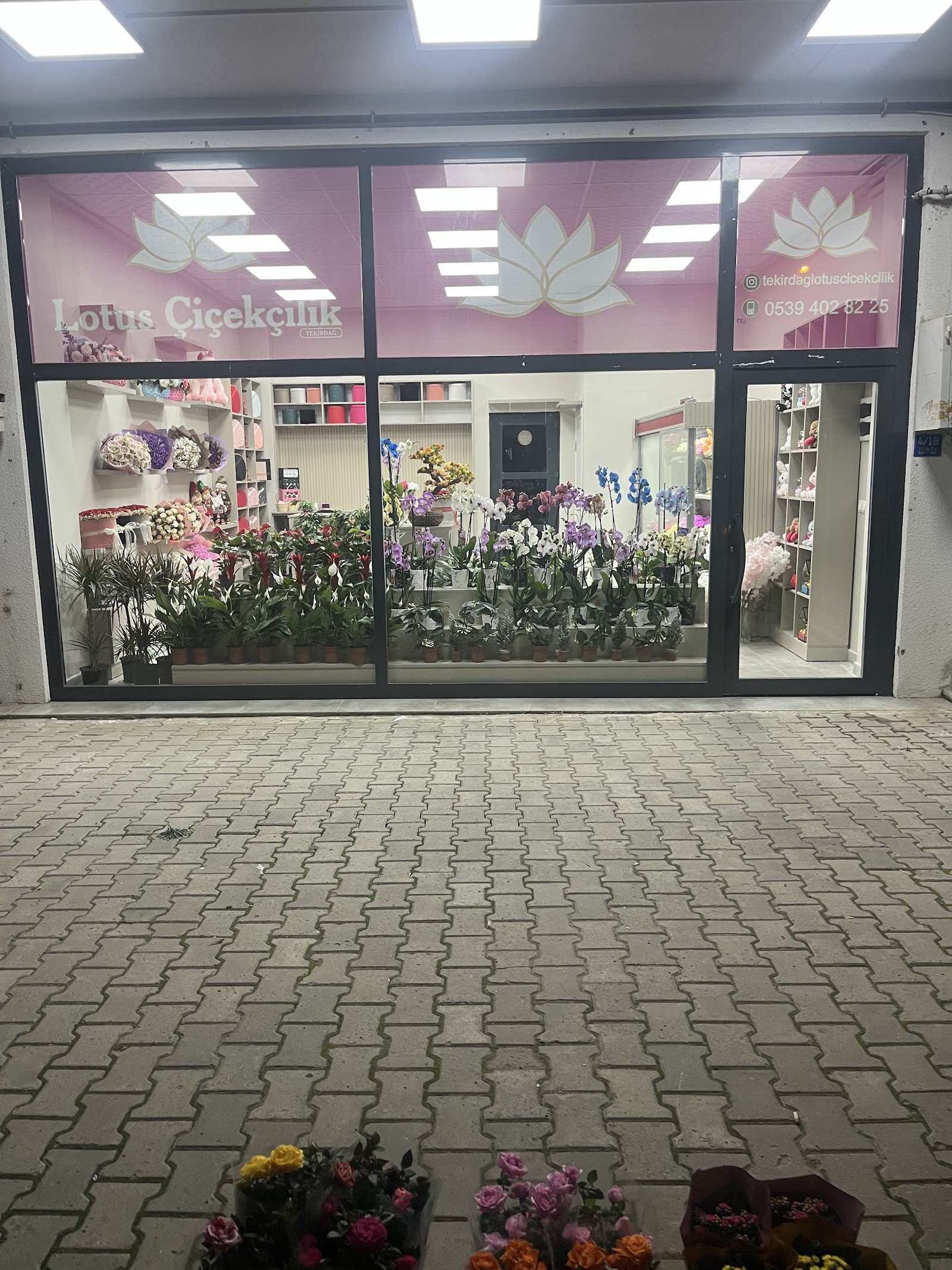 TEKİRDAĞ LOTUS ÇİÇEKÇİLİK