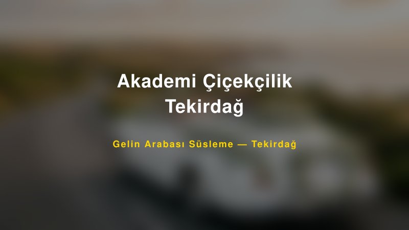 Akademi Çiçekçilik Tekirdağ Gelin Arabası Süsleme Fiyatları